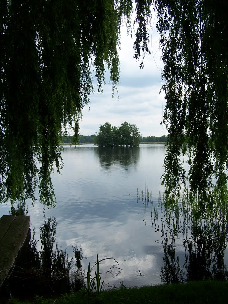 Peitzer Fischteiche 2009-06-01 by railmike