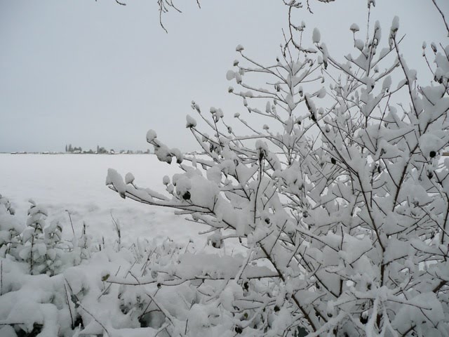 Moerkapelle in de sneeuw by pietervde