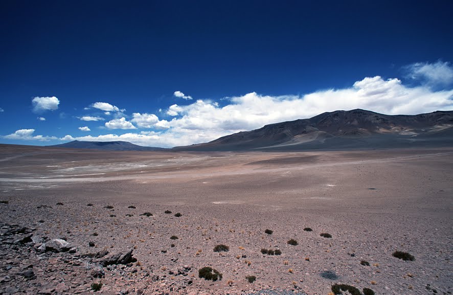 Paso de Jama - Chile by bpbueno@terra.com.br