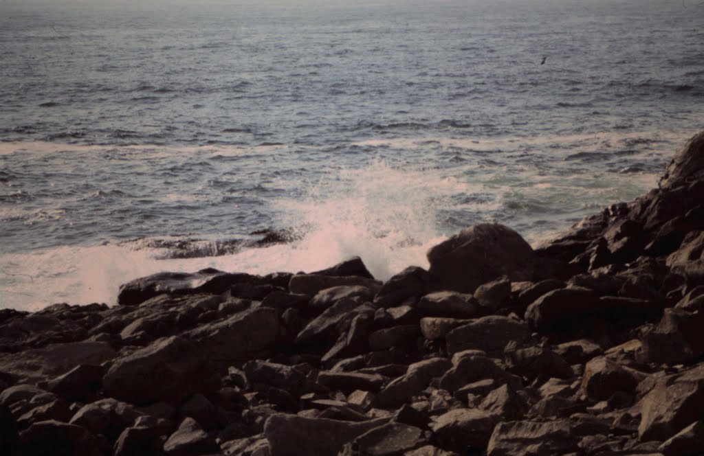 Am Morro Rock by herminegranger