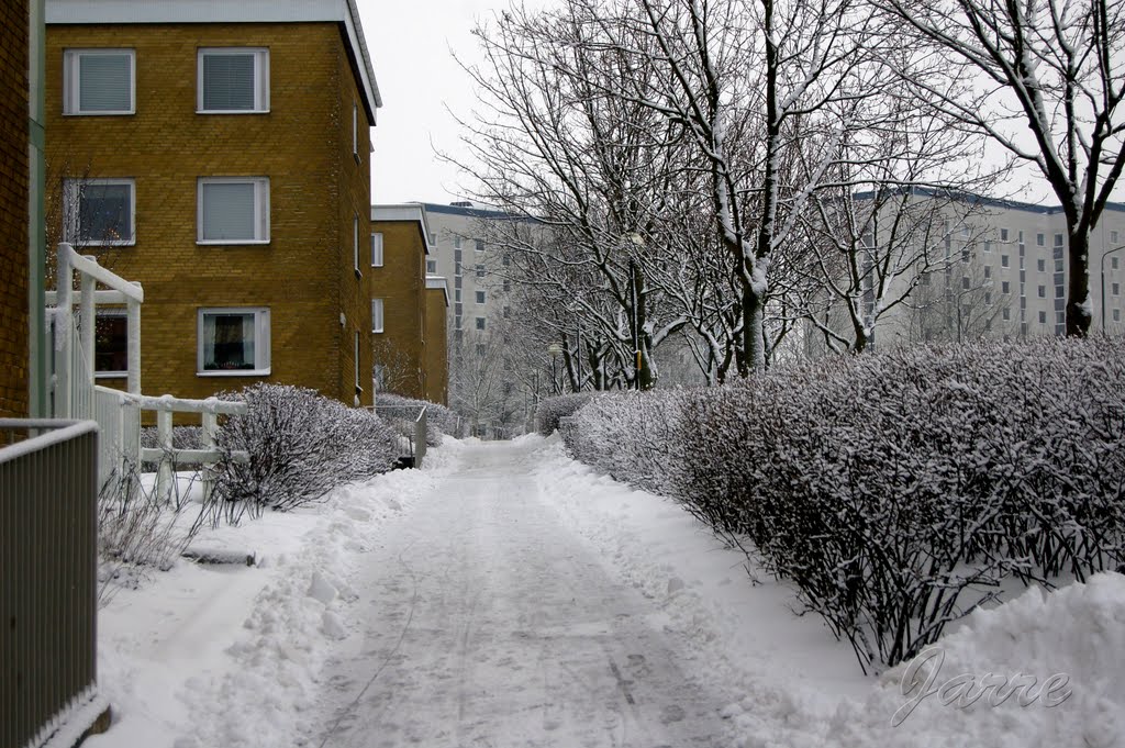 Vinter i Malmö by Jaroslav Csampai