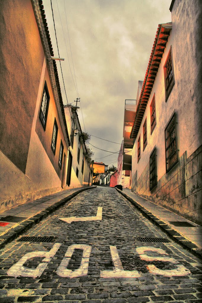 La Orotava, Santa Cruz de Tenerife, Spain by Jonathan Clavijo