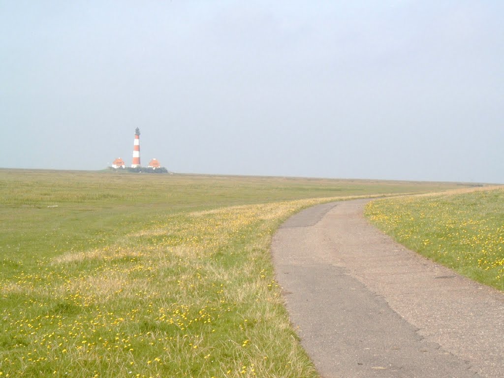 Weg bei Westerhever by Christoph Rohde