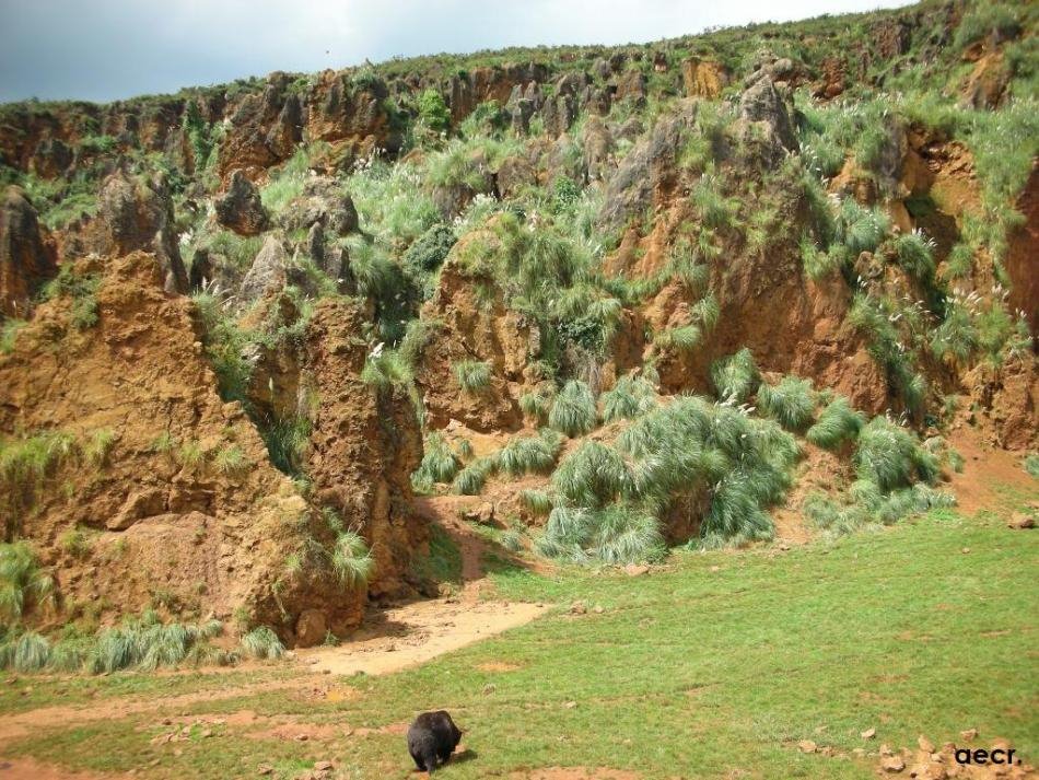 Parque de La Naturaleza de Cabárceno. by angel.ecr