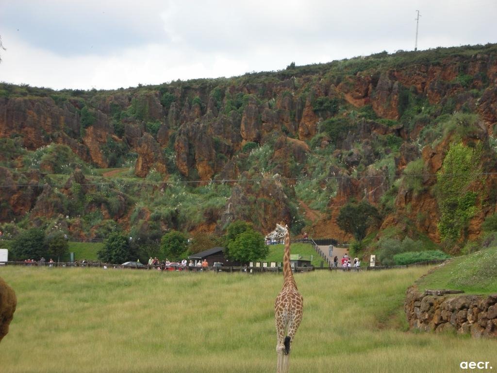 Parque de La Naturaleza de Cabárceno. by angel.ecr