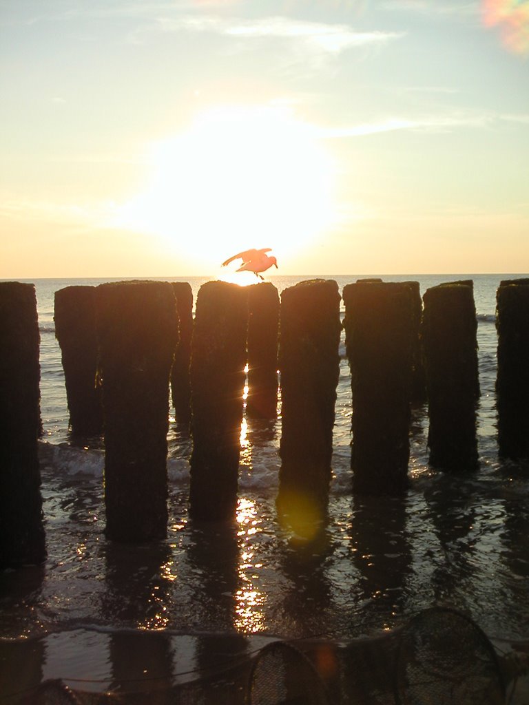 Domburg by Jörg Roth