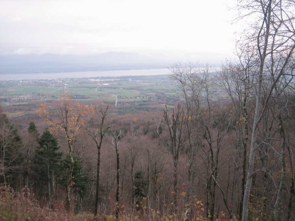 Geneva lake by Tanja Draganinska