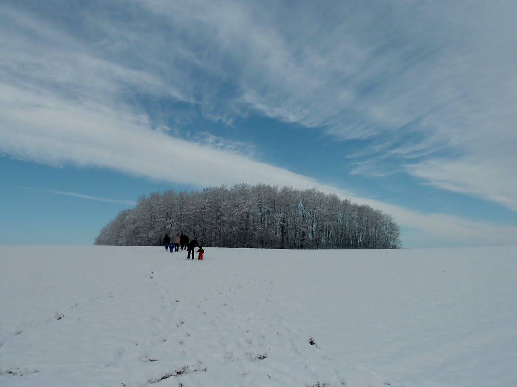 Bosquet by Philippe BELLARD