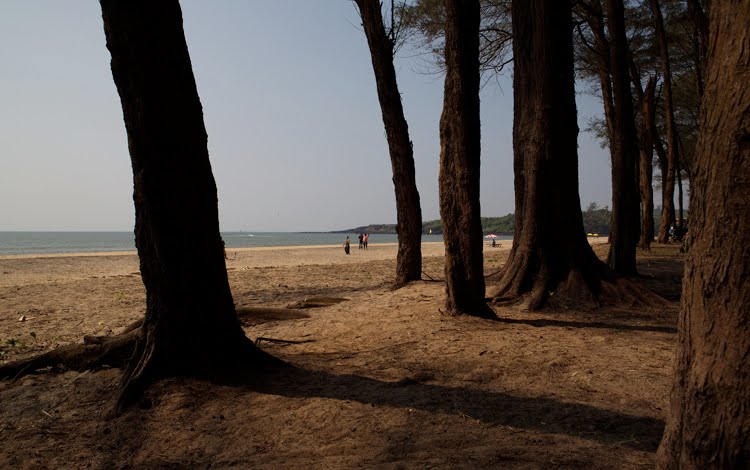 Querim beach by Gorbushin Grigory