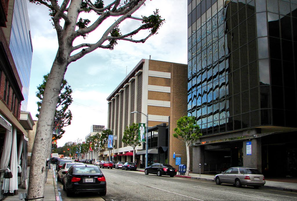 The Roads...in Beverly Hills, CA, USA by aleksolo