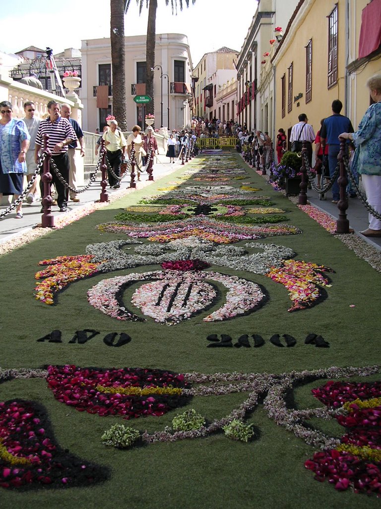 Alfrombras de Flores - Calle La Carrera by diegodelu