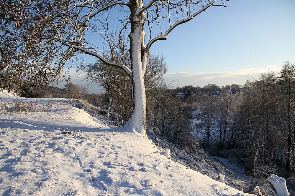 Blik op Slenaken langs de bomen by Heavyuser