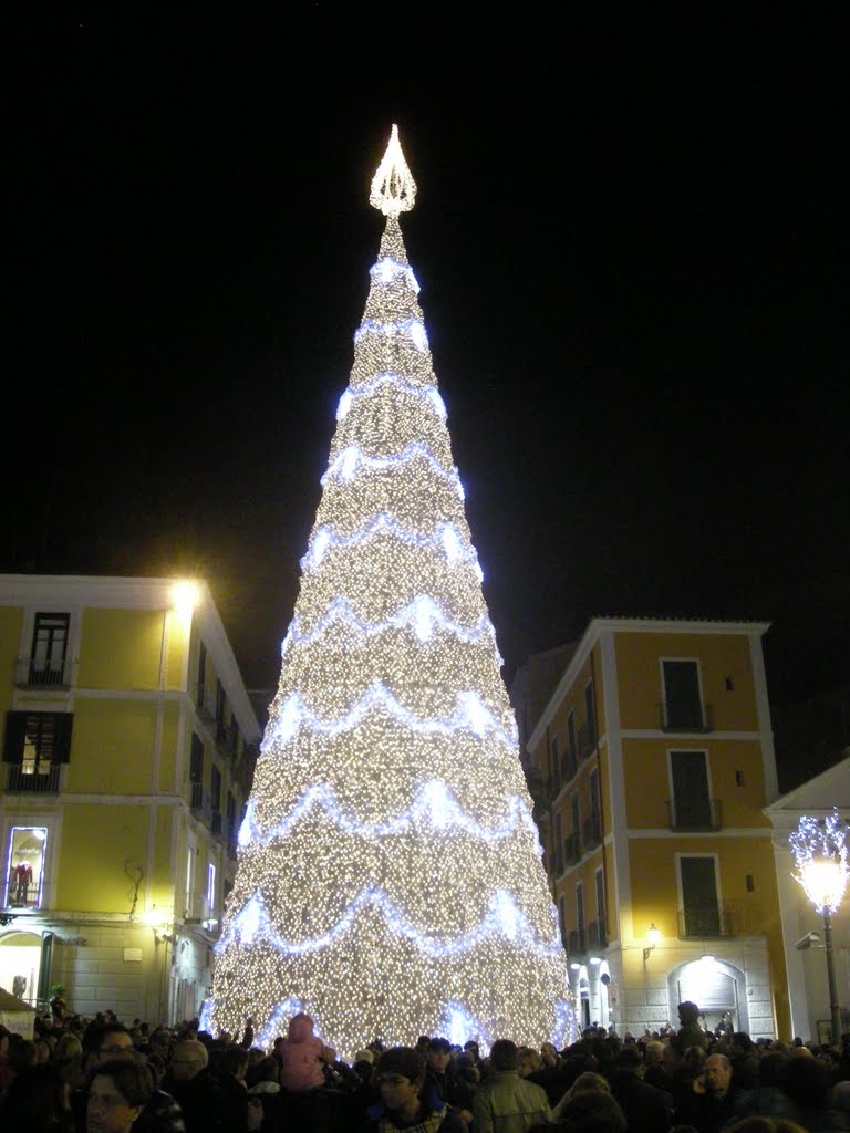 Albero di natale salerno 2010 by felice romano