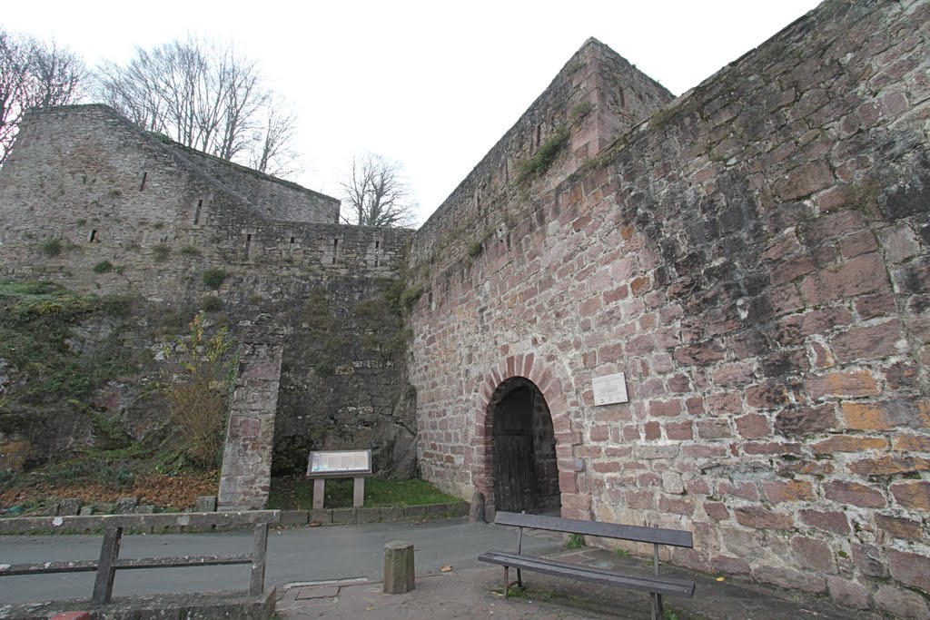 Saint-Jean Pied de Port: Porte Saint-Jacques by lionel dupin