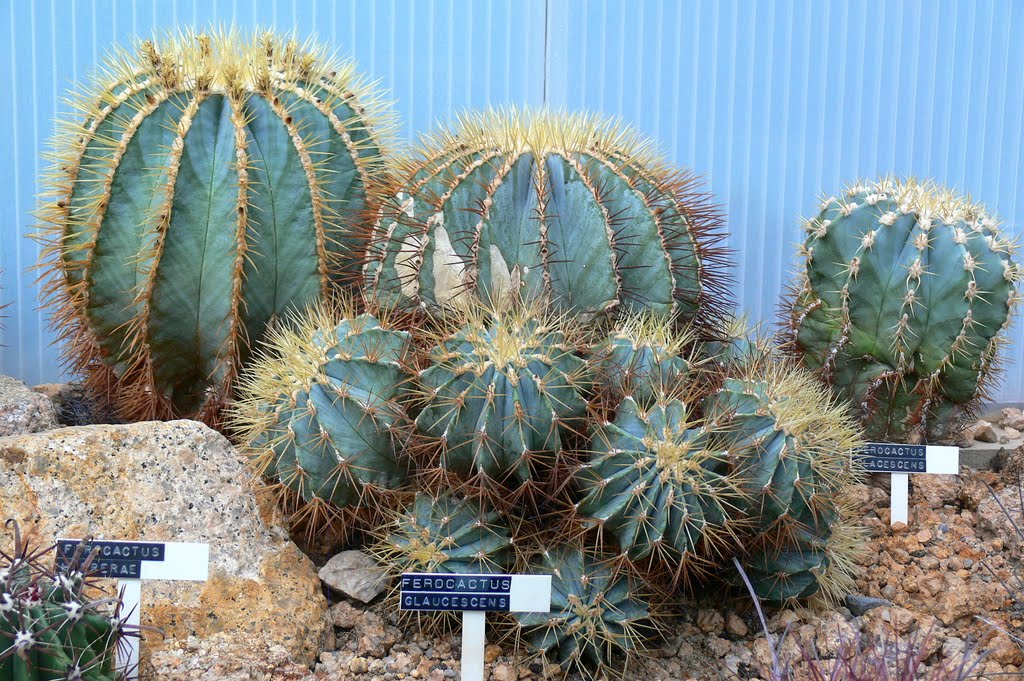 Liberec , botanical garden / Zahrada botanicka by Renatorius (Reno)