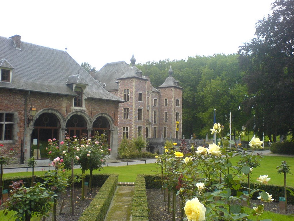 Castle Coloma, Rose Garden by tkimpe