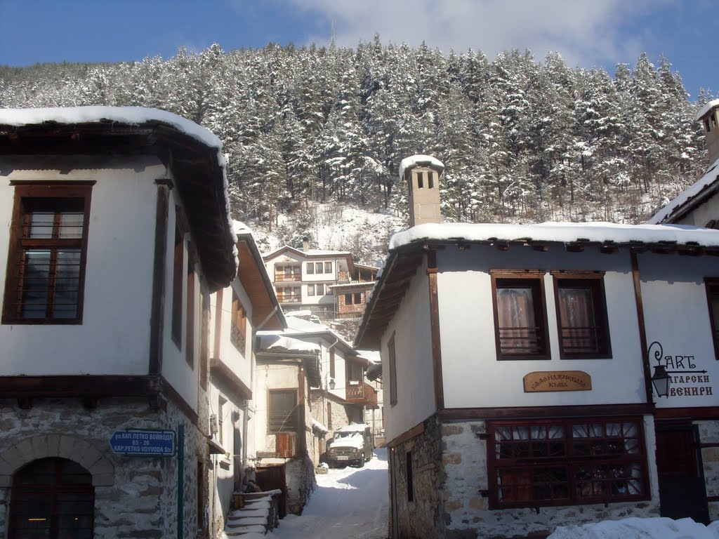 The Village of Shiroka Laka in Winter by Boyko Kolev