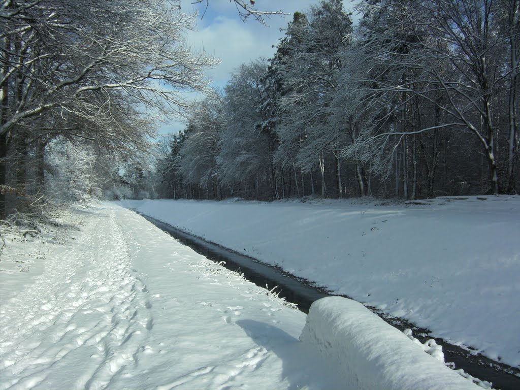 Hügelsheimer Winter 2010 by Raimund Weiler