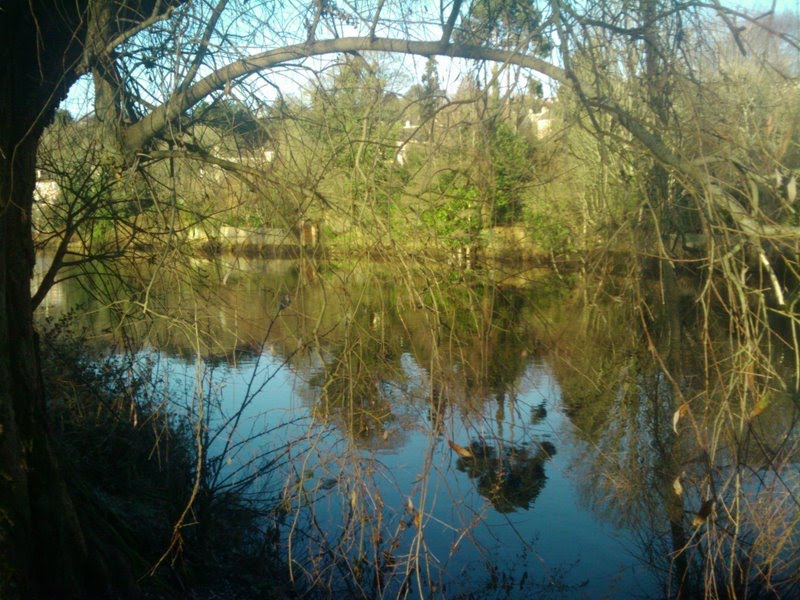 River Lee, Cork, seen from Fitzgerald Park by Sebastian “sebrem” B…