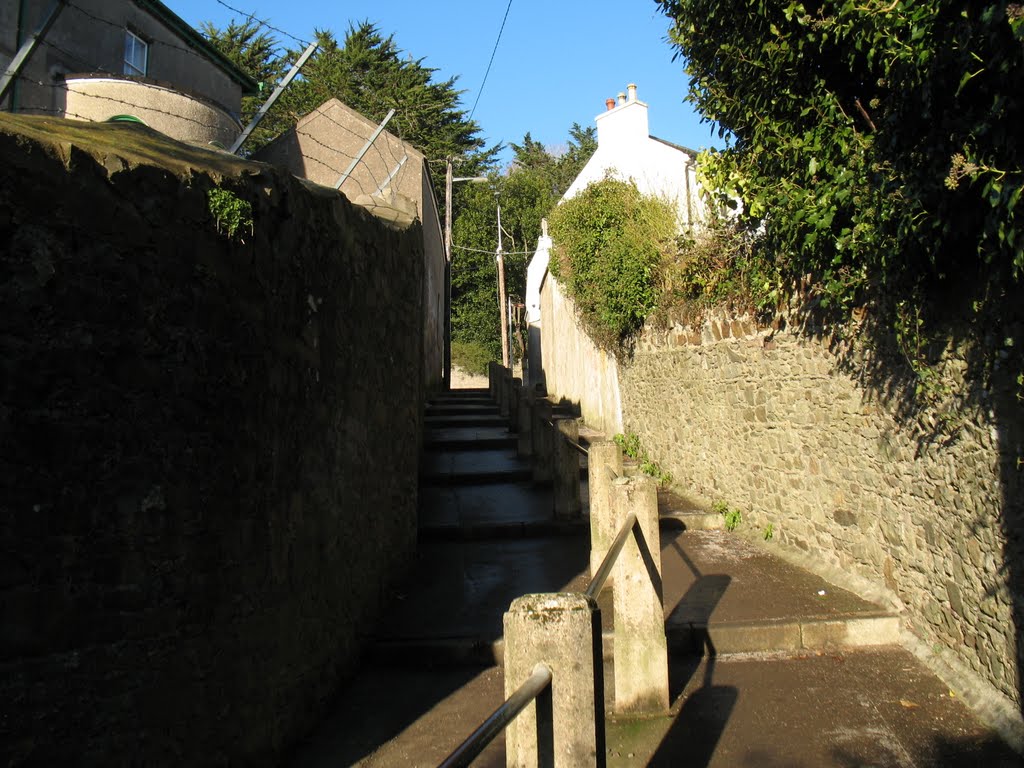 Steps leading up to Sunday's Well Rd, Cork by Sebastian “sebrem” B…