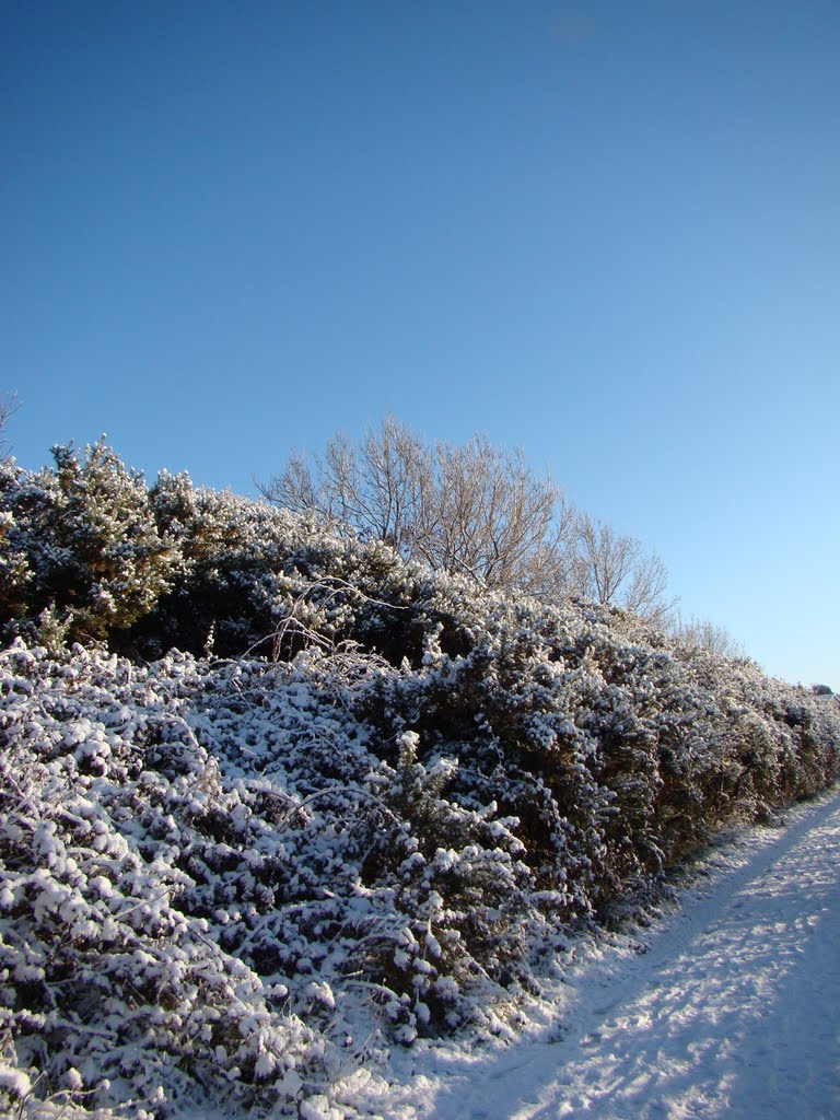 Midleton winter 2010 by sms2info