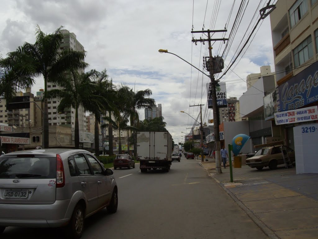 Av.T Sessenta e Três S.P.L. by carlos antonio coelho