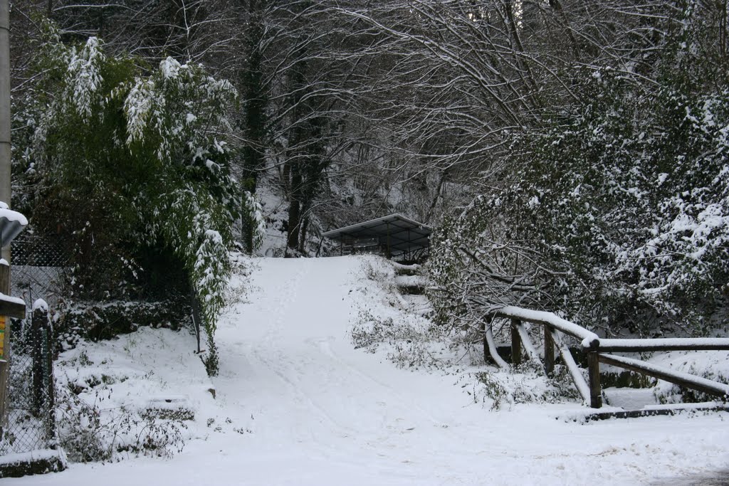 Via San Leonardo da Porto Maurizio 18.12.2010 by Francesco Saisi