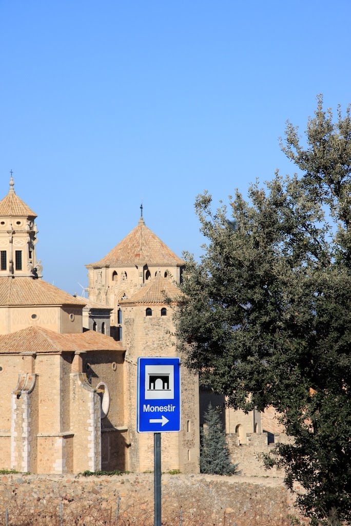 Vimbodí i Poblet, Tarragona, Spain by jorecacars