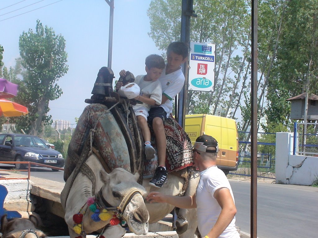 Camel Tropy in Düden by Canberk Eren