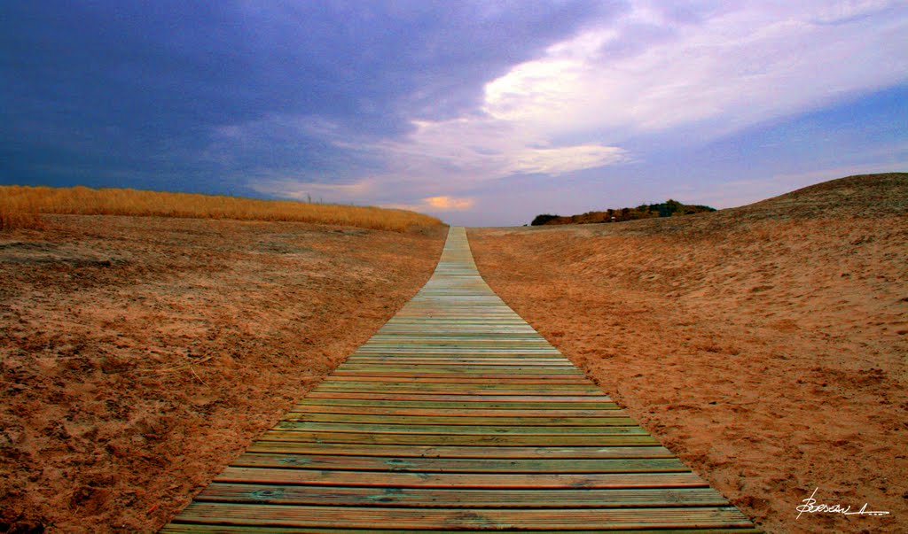 "xylophone des sables"... by BORDEAU Alain.(NO VIEWS!)