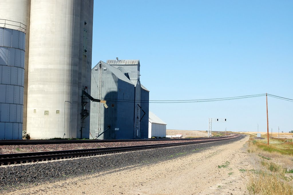 Burlington Northern Santa Fe Railway Mainline Tracks looking West at Rudyard, MT by Scotch Canadian