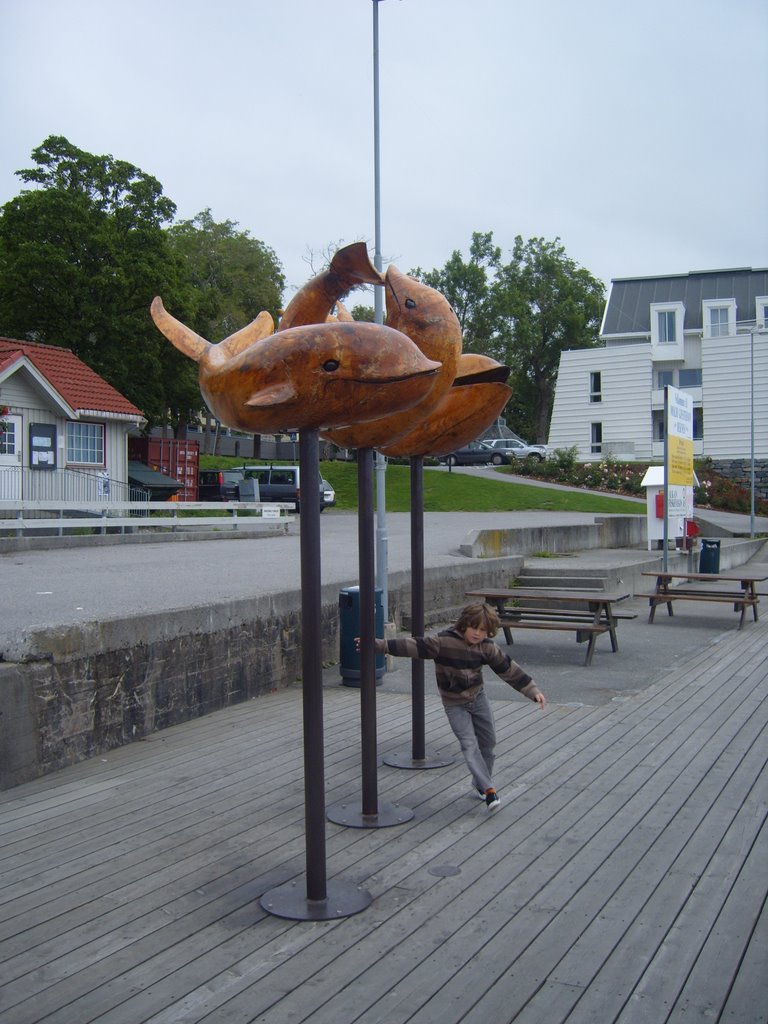 Whale slalom in molde by laughingmackerel