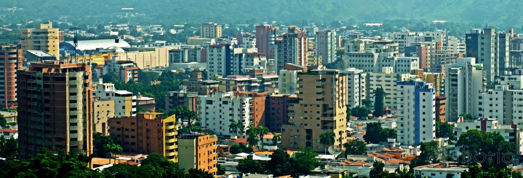 Maracay Panorama Soledad - Bosque by liborio_car