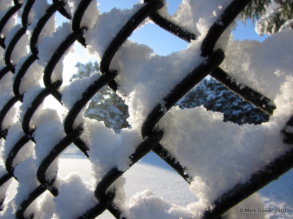 Captive snow by Mark Govier