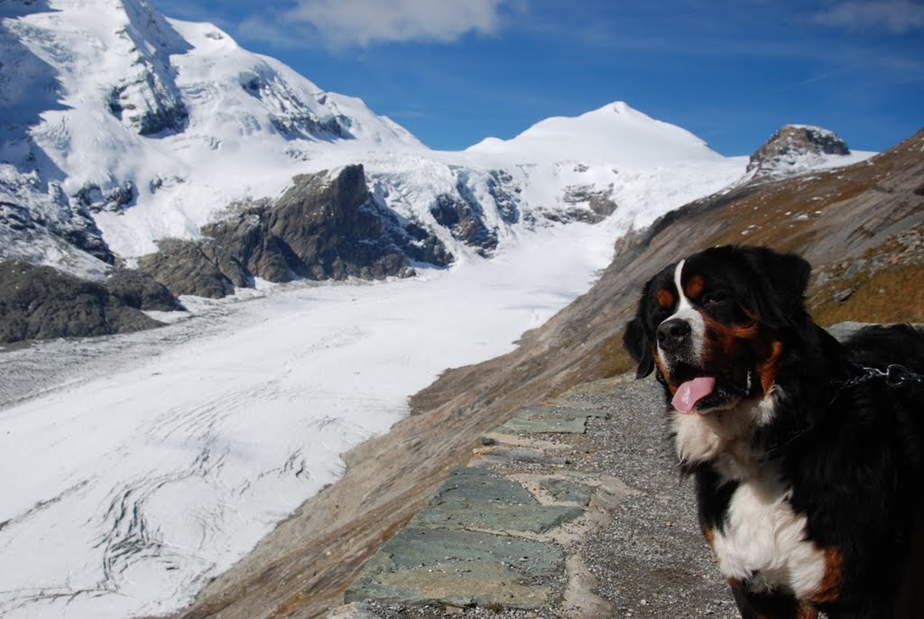 Moritz and the Grossglockner by bencarlson56