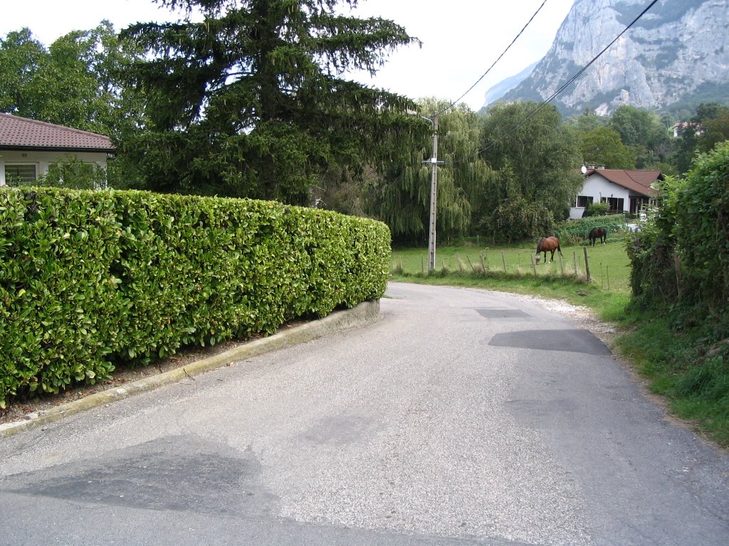 Entrée du Chemin de la Montagnère by Paul Myers