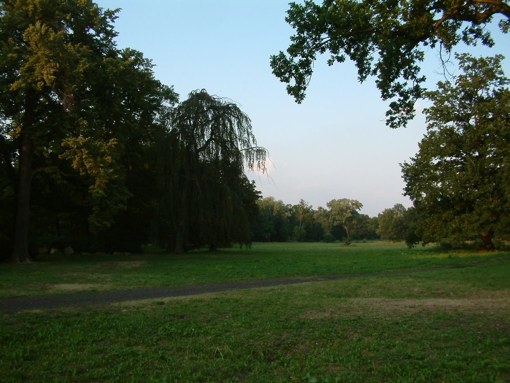 Park 1.8.2004 by Michal Špiřík