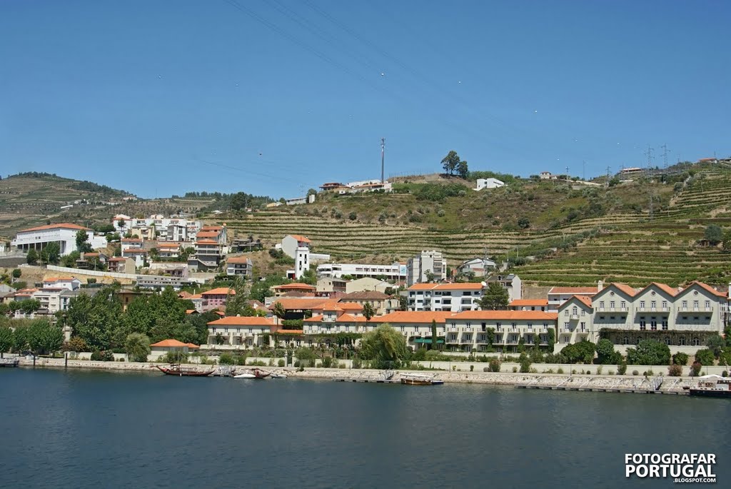 Pinhão Douro by fernando Oliveira