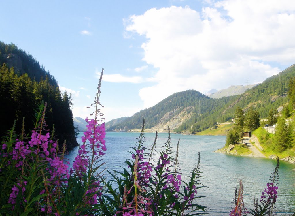 Engadina, CH by Angelo Vanagolli