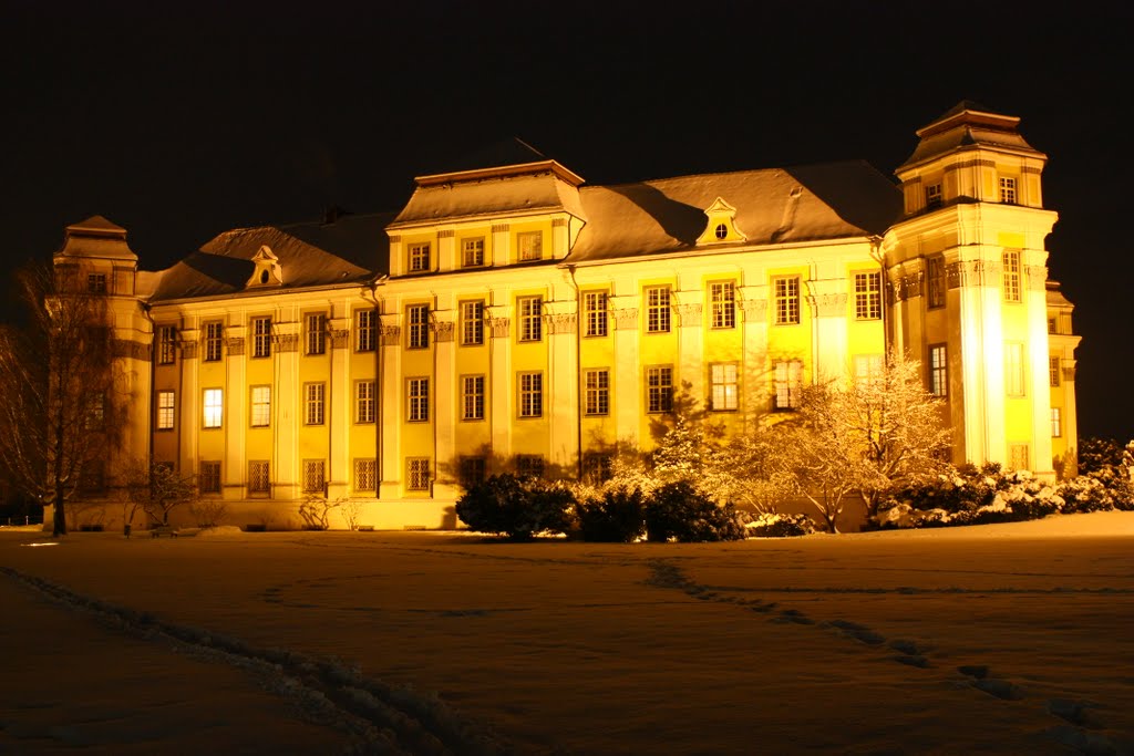 Winter am Schloss by H. E.