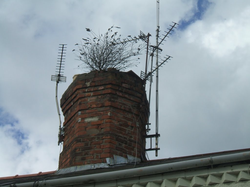 Cardiff Chimney, Bedwas Street, Grangetown, Cardiff by bcfczuluarmy