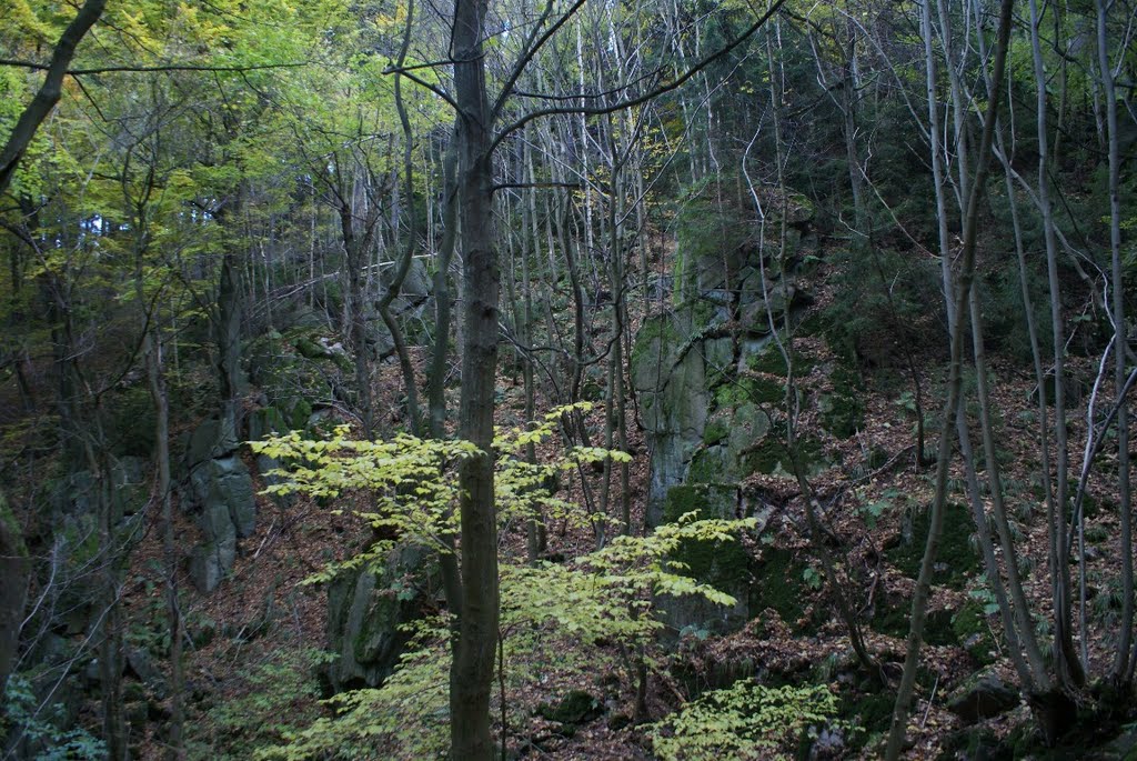 Winterklippen im Herbst (Harz) by Atheistin