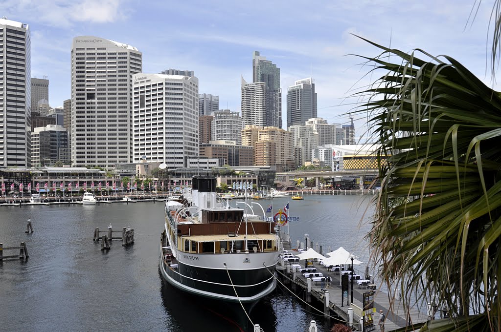 Sydney, Cockle Bay by Rainer Patzig