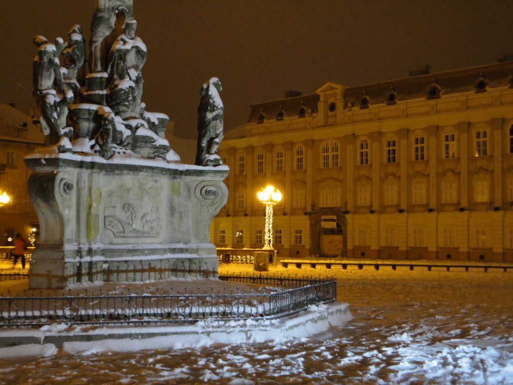 Holy Trinity Monument and The Art Museum, Union Square by night in winter, Timisoara by Corneliu Anca