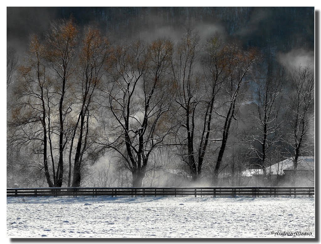 Vignassa invernale by Andrea Allasio