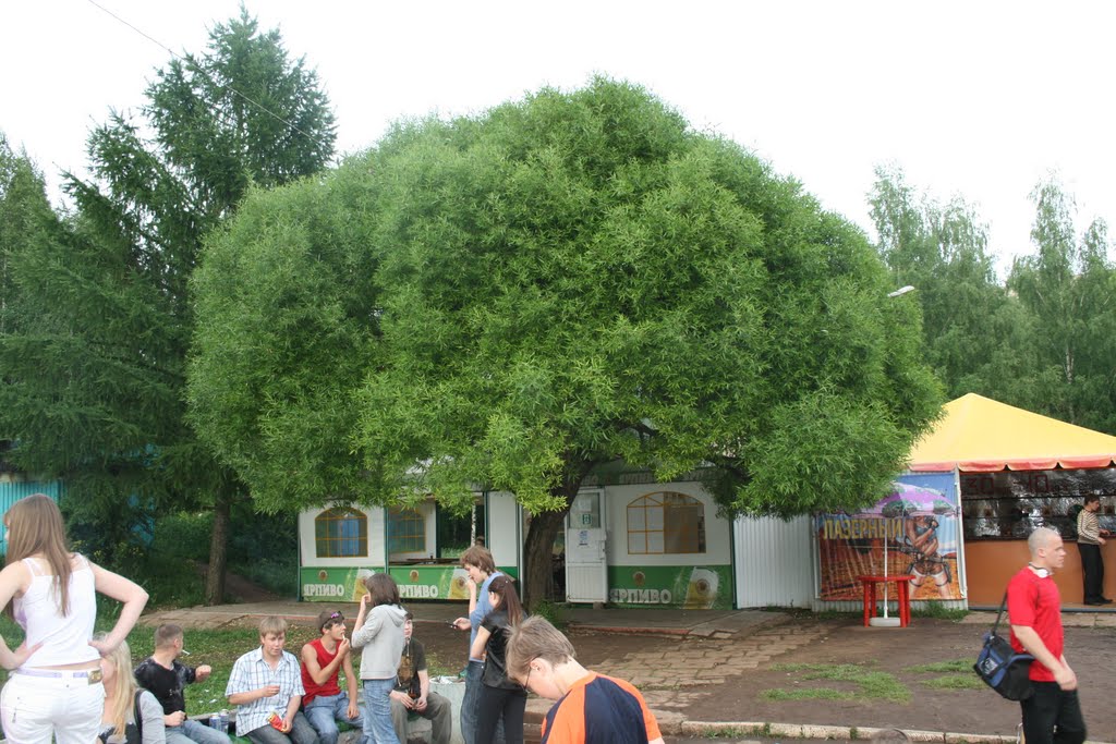 Park Pobedy, Kirov, Kirovskaya oblast', Russia by Vairen