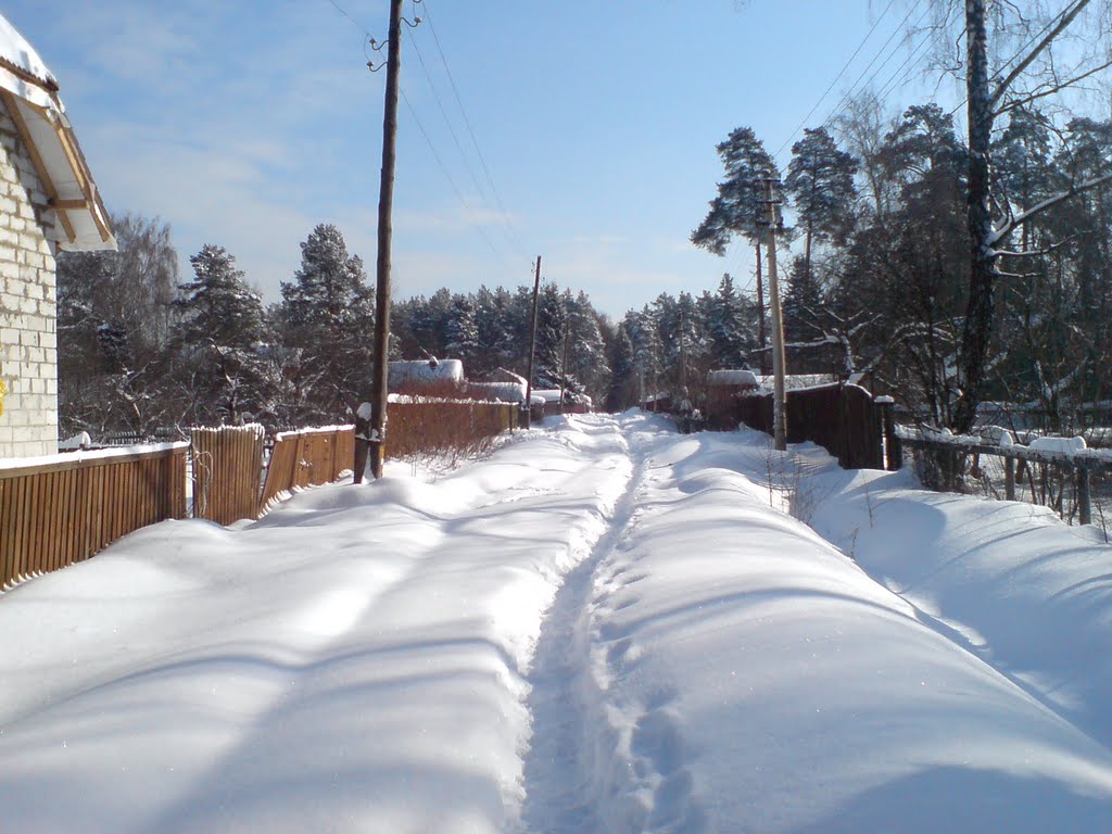 Aparikha, Moskovskaya oblast', Russia by pole720