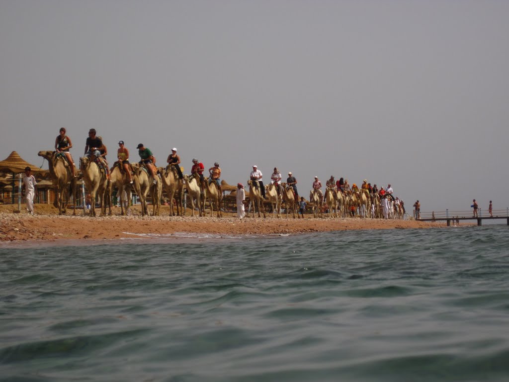 Unnamed Road, Qesm Sharm Ash Sheikh, South Sinai Governorate, Egypt by Pavel Sinitsyn