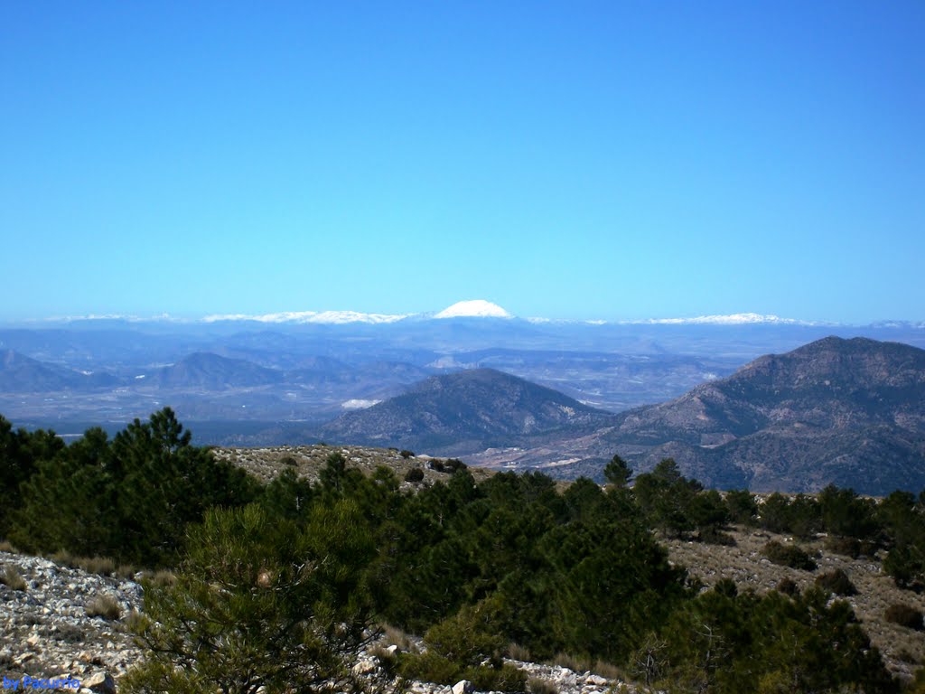 La Sagra desde Pedro López by pacurrio