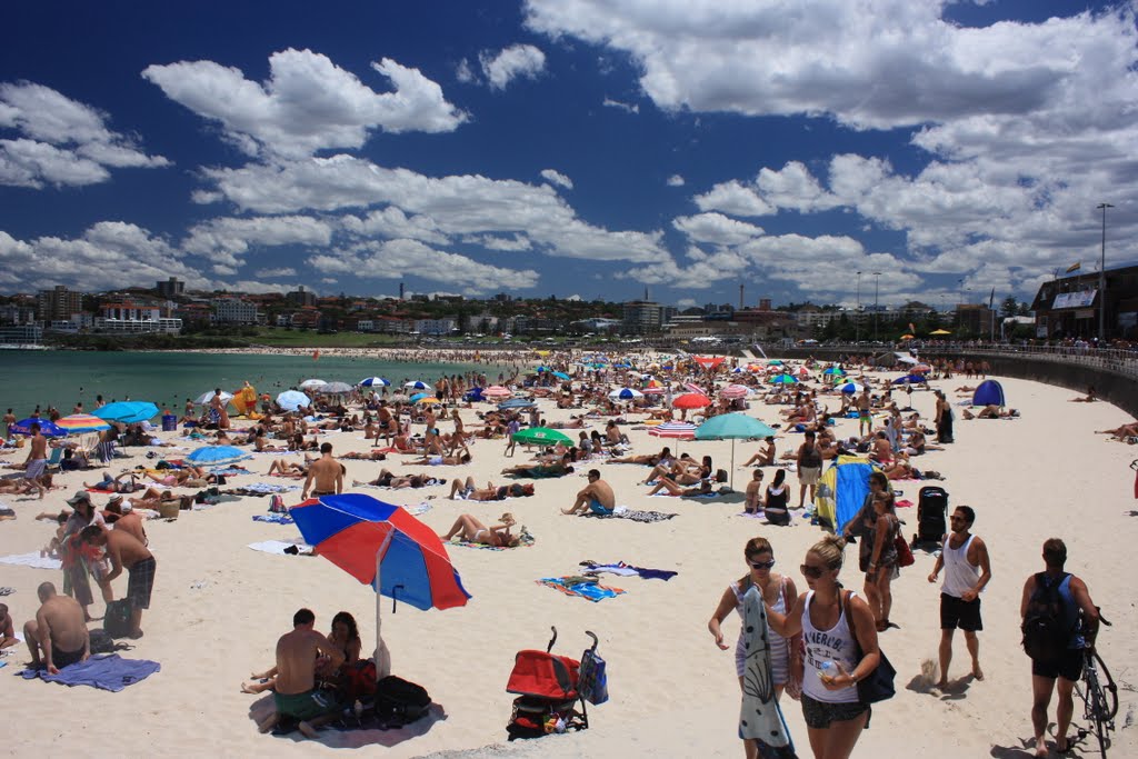 Bondi Beach Looking South by Steve Busson